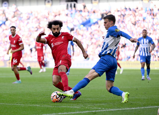 充分展示了 充分展示了