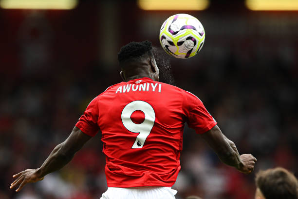 的年轻球员 的年轻球员